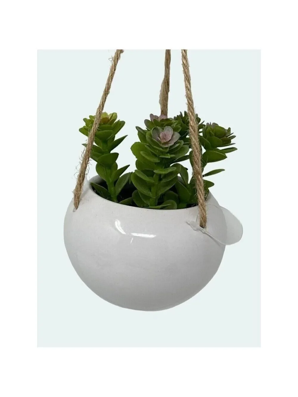 Plant Artificial Hanging Miniature Succulent Plant Faux Fake Ceramic Green White